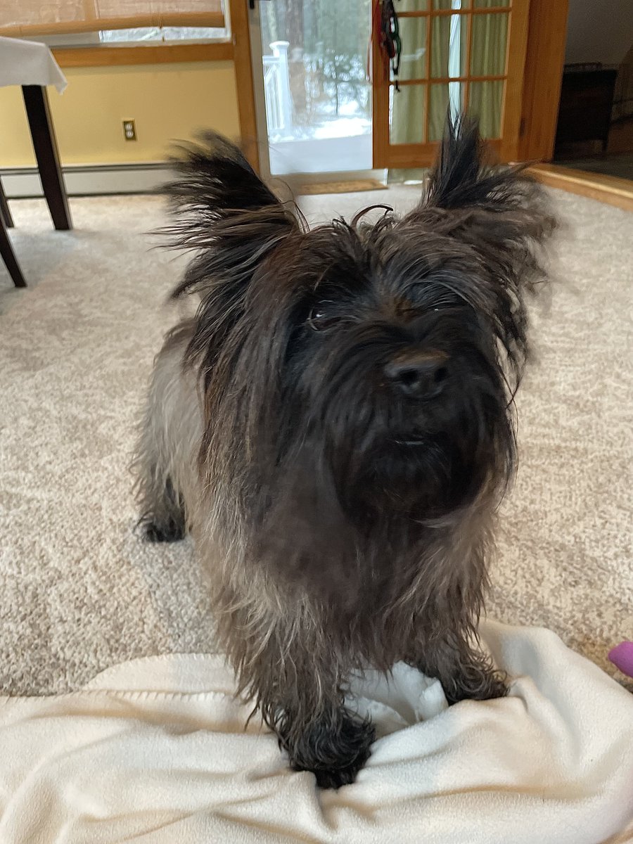 WellyUBM's tweet image. 😲