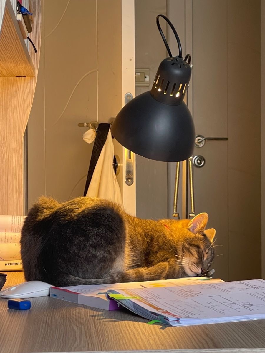 e_burw's tweet image. 