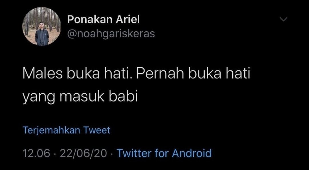 name 🐻3️⃣0️⃣🍀 (@nichiyobi25) on Twitter photo 