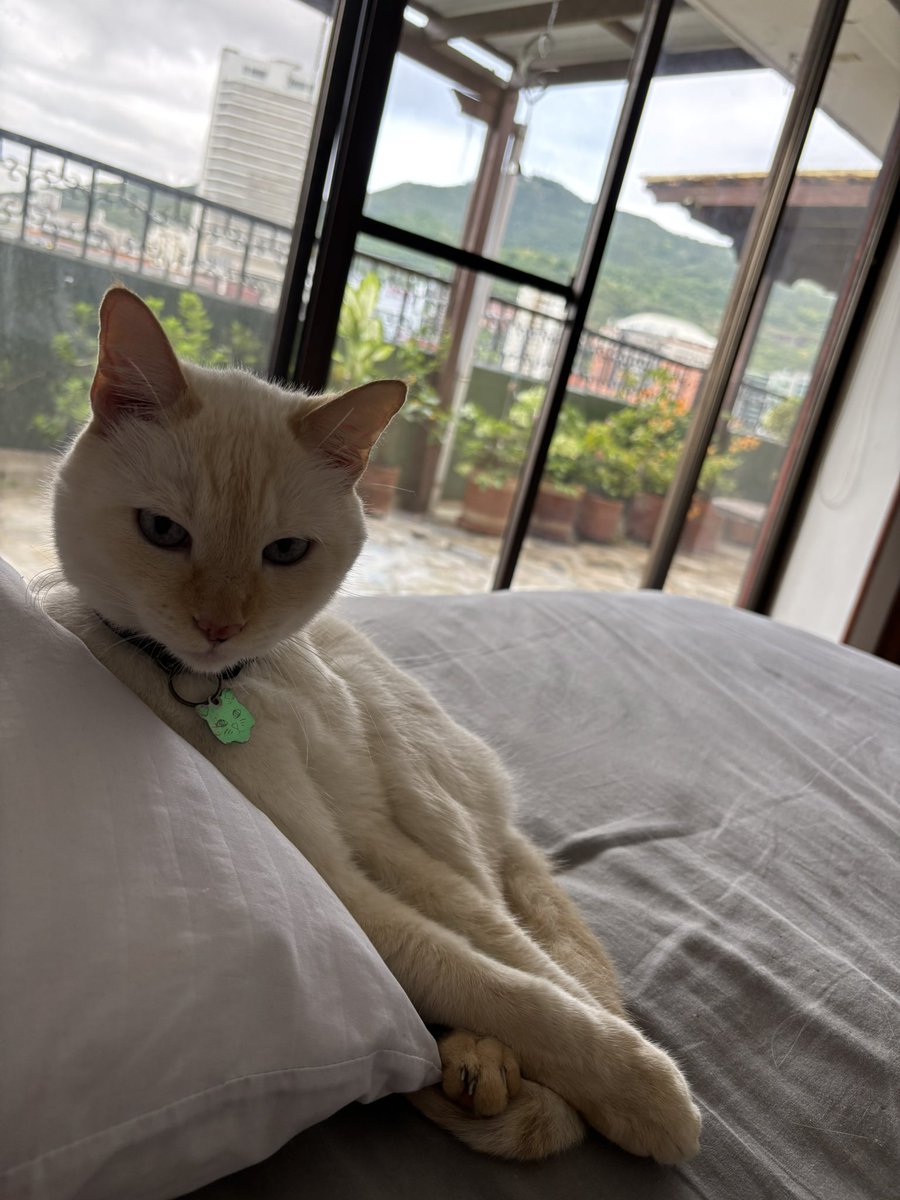 Bonifacio.  Aquí estoy y aquí me quedo.