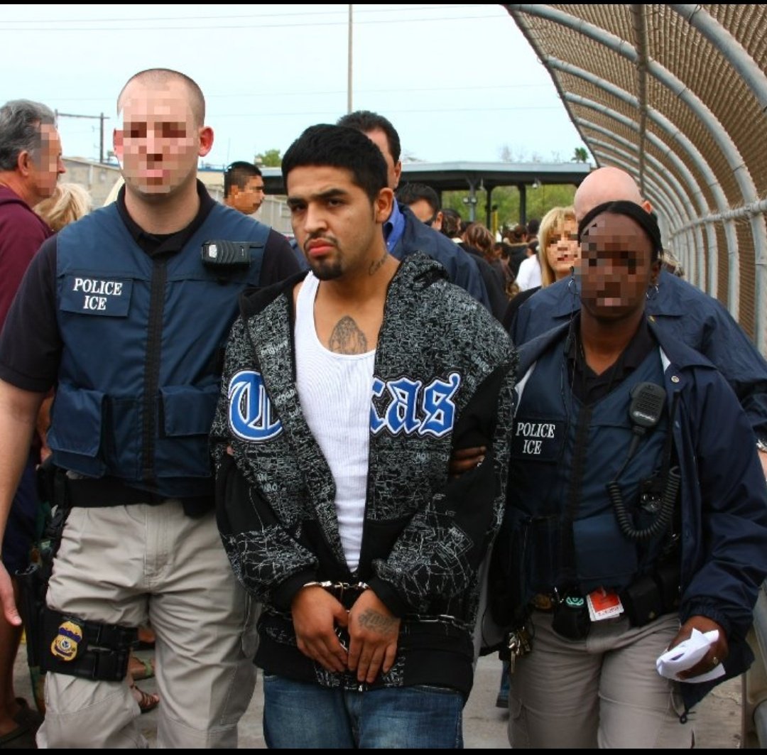 Do you support the forced deportation of Illegals immigrants from America?
YES or NO