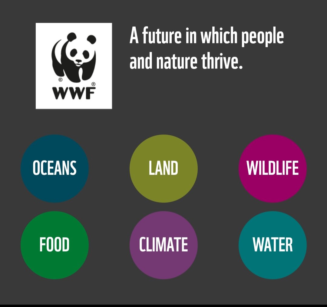 ABIOVE (the Brazilian Association of Vegetable Oil Industries) stated that its member companies will leave the Soy Moratorium and stop honouring the commitment not to purchase soy originating from deforested areas in the Amazon.