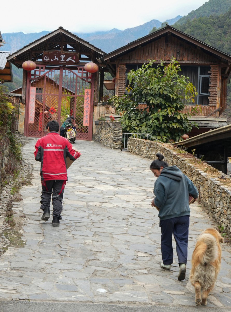 hhrmt208's tweet photo. Lisu graduate Zhong Jiuwang returns home as a courier, serving 4,000 km² along the Gaoligong border — connecting villages with modern life.
#BorderLife #RuralRevitalization https://t.co/UVgs2iYj6Y