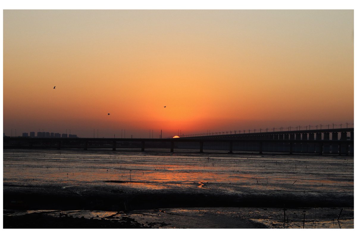 说梦闲人 tweet media