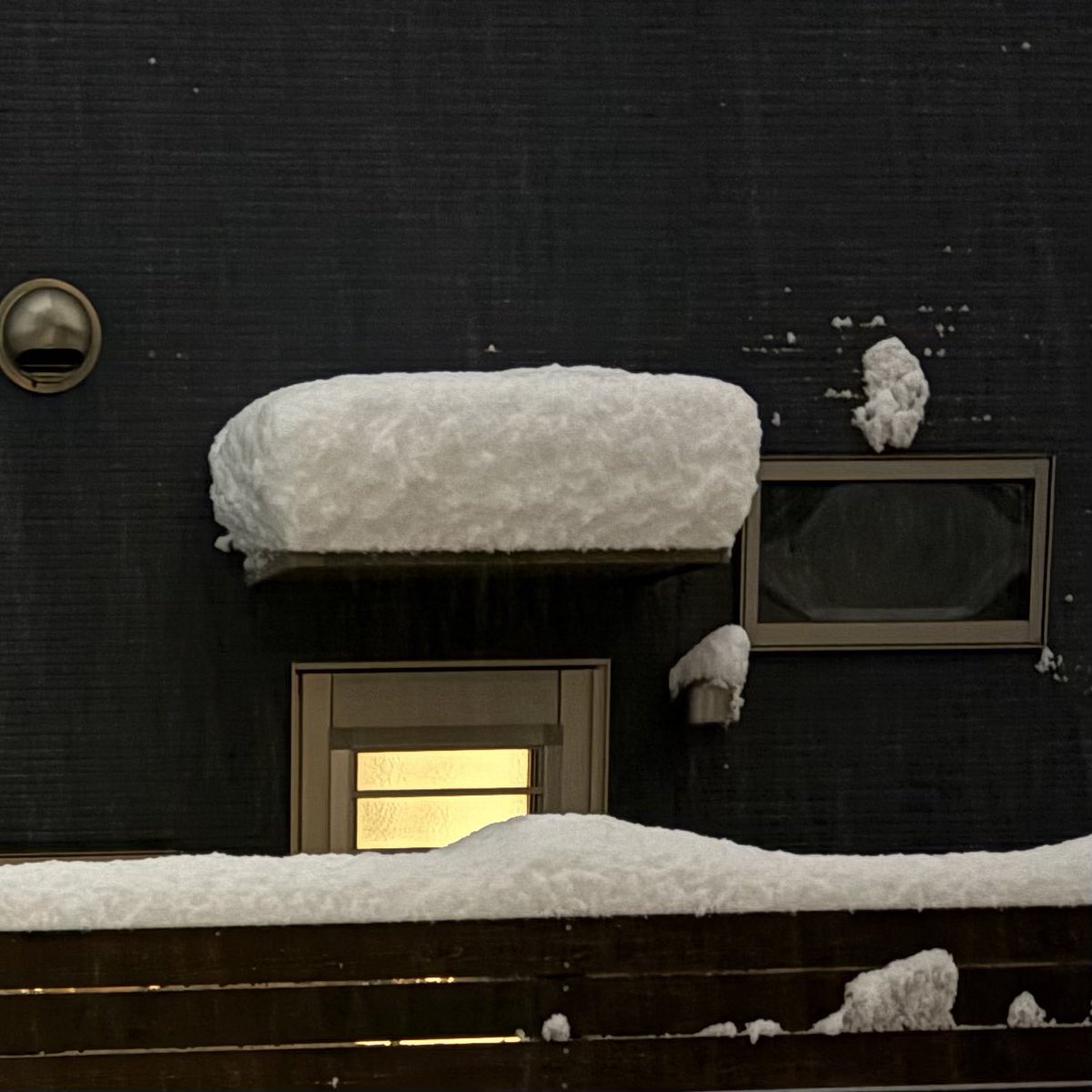 そこまで雪降るところじゃないから移り住んだのに昨年に続いて何！？
雪国用じゃないカーポートが心配で雪下ろししたため久しぶりの運動で意外と気持ちよかった反面満身創痍。
50cmはある