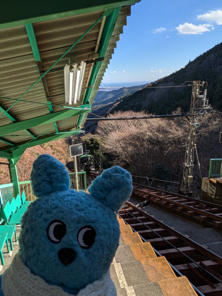 ゆっこ (@ykokamota) / Posts / X