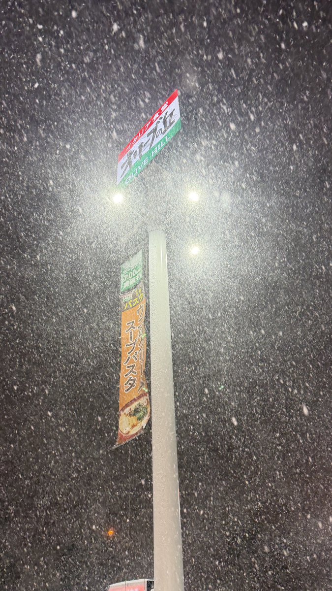 Stoic.S そるとさんのとなり。 (@salt3no) / Posts / X