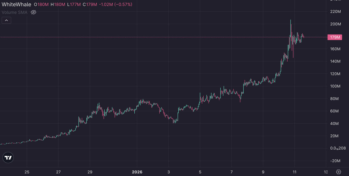 Top blasting paid off for once 🤷‍♂️

$WhiteWhale