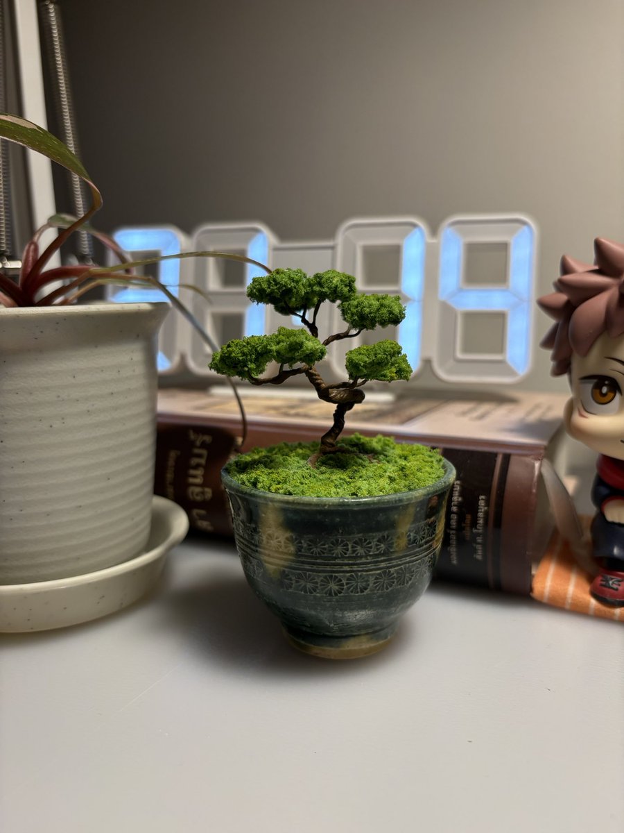 Kanyakim_studio's tweet image. วันนี้ไปเจอร้านต้นไม้ประดิษฐ์แถวบ้าน คือน่ารักมากๆๆๆๆๆ ตอนแรกนึกว่าต้นไม้จริง แล้วงานคุณเขาละเอียดจึ้งงงง!! เชื่อหรือไม่ก็ตามกระถางนี้ 199 บาท!! อมกกก รีบซื้ออย่างไว น้องมาประดับโต๊ะเข้ามู้ดสุดๆ ฮืออ😭💗🫶🏻