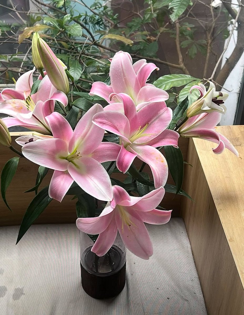 1leio's tweet image. 