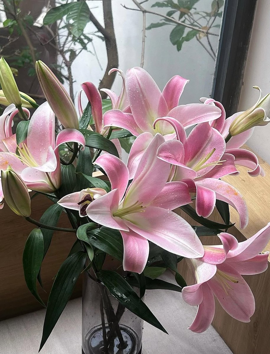 1leio's tweet image. 