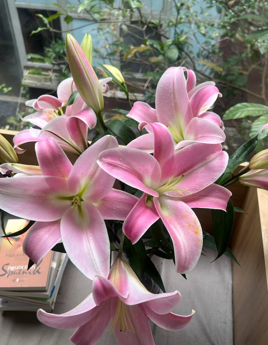 1leio's tweet image. 