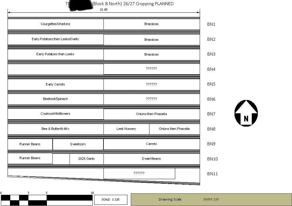 🌱Hello, I'm Mark tweet media