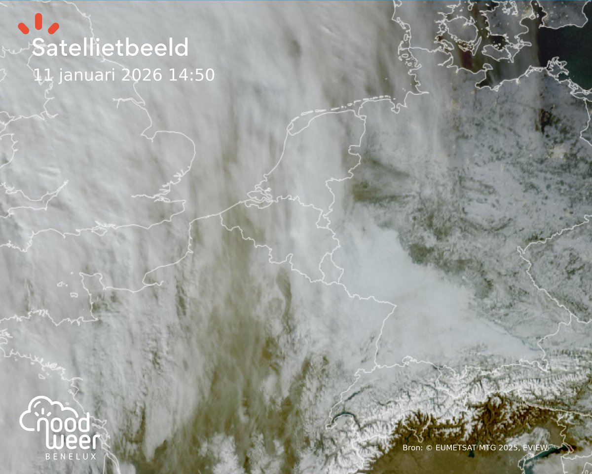 NoodweerBenelux tweet media