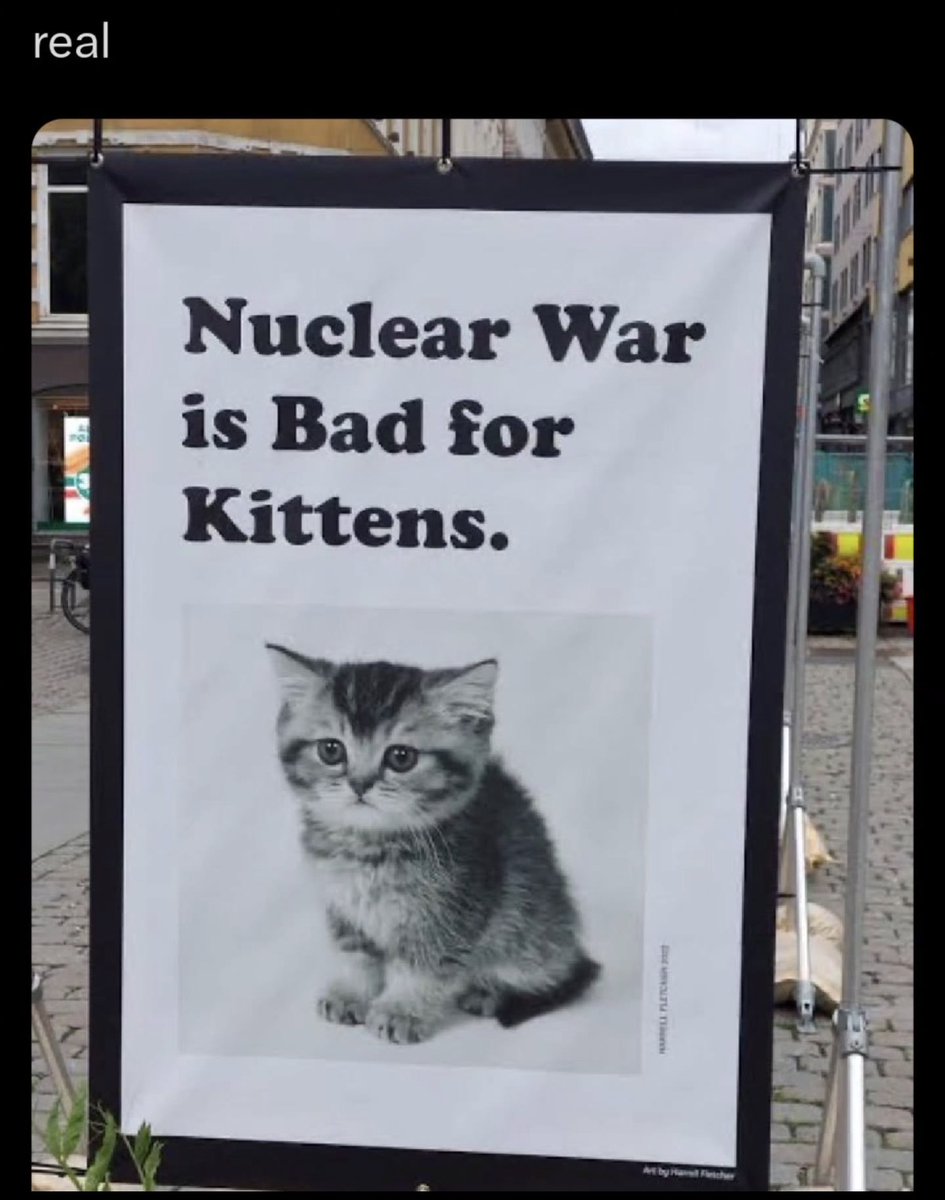 cats with powerful impression 🐾 tweet media