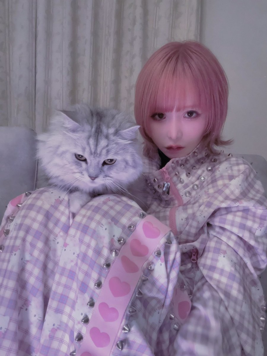 HEIHEI (@heihei_official) / Posts / X