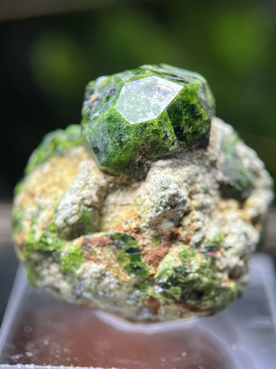 #1月になったのでガーネット見せて下さい
デマントイドガーネット