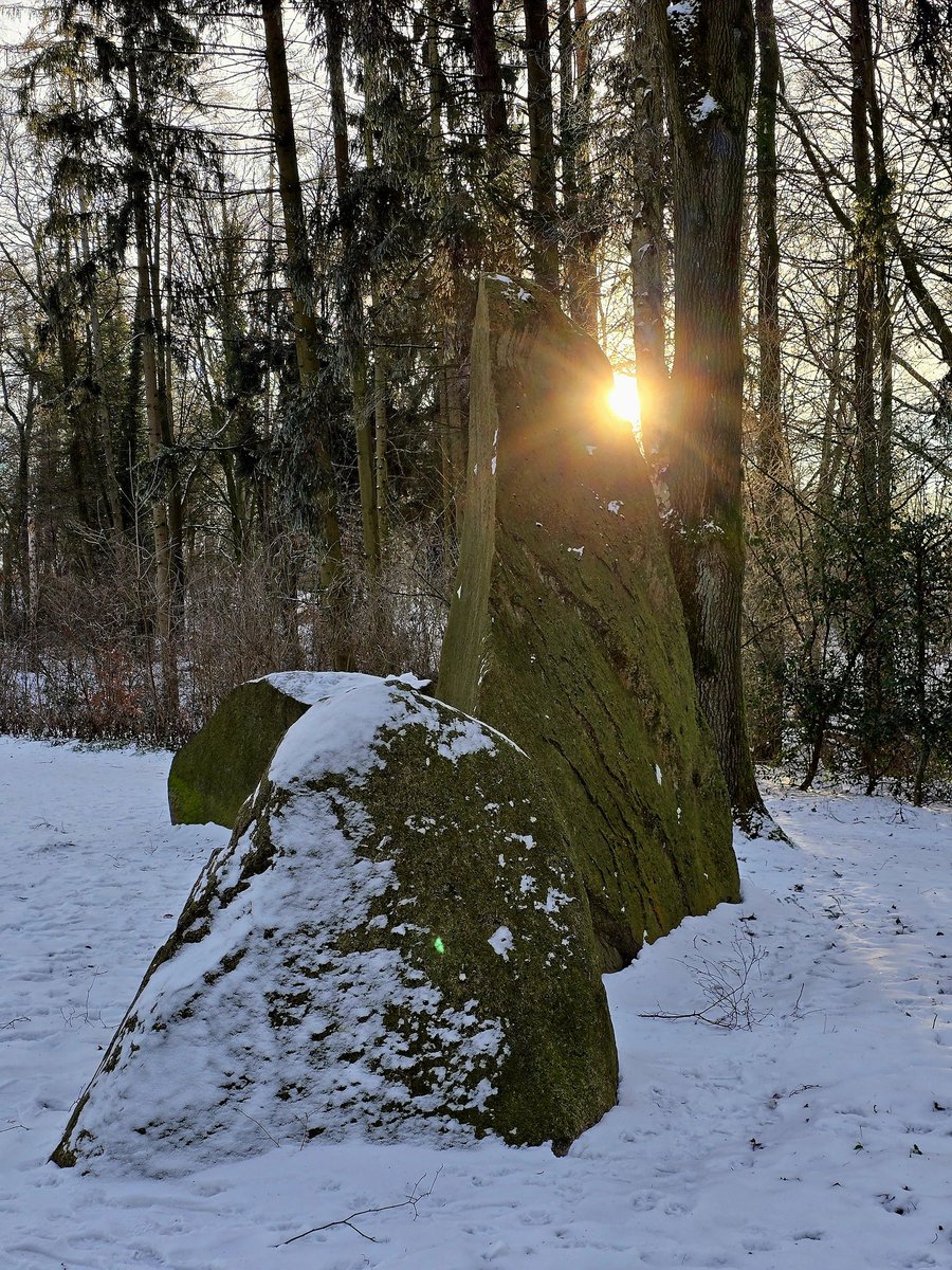 peter_murmann's tweet image. Verschneit