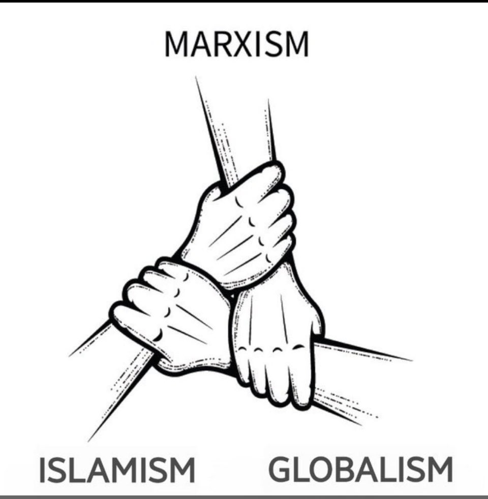 ginafabulosa's tweet image. Radical liberals, aka communists are in bed with the NWO goons which includes NGOs and Islamists. They haven’t lost their minds, they know exactly what they’re doing.