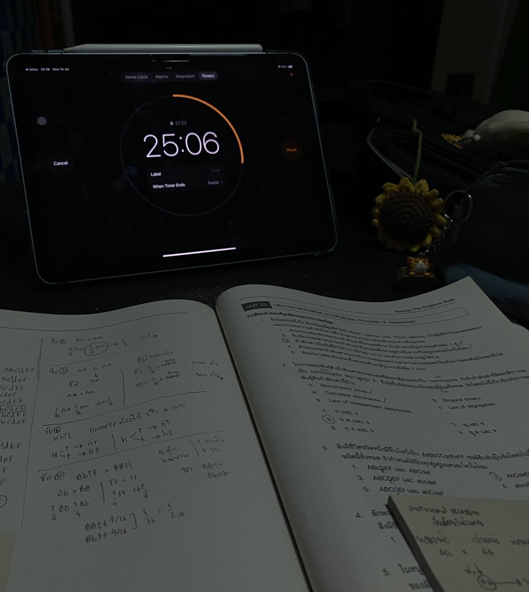 pyitit's tweet image. 