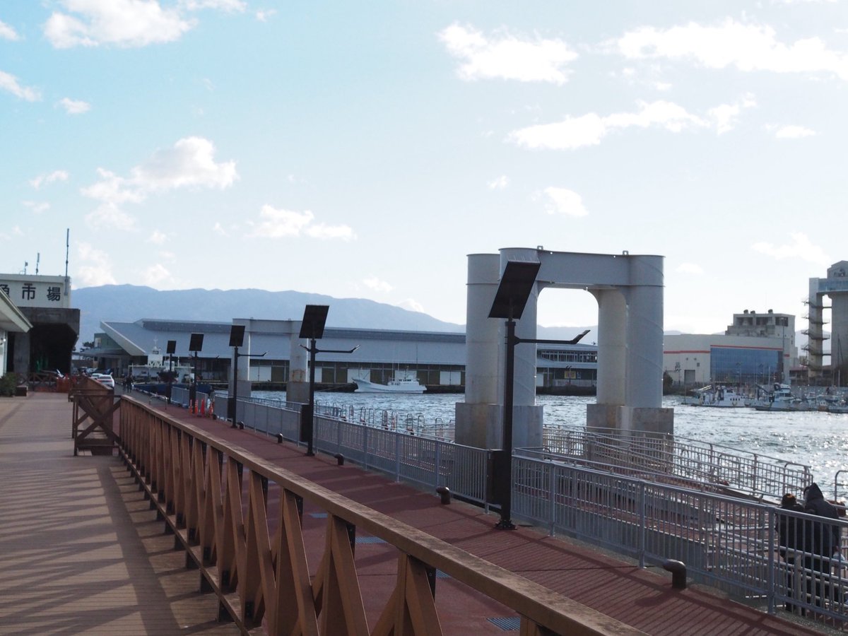 sinodooo's tweet image. 遠出してお散歩(？)
お富士の見えるあたりでマジうま海鮮丼たのしみました！わさびも出汁茶漬けも最高。風つよすぎな、いい日。