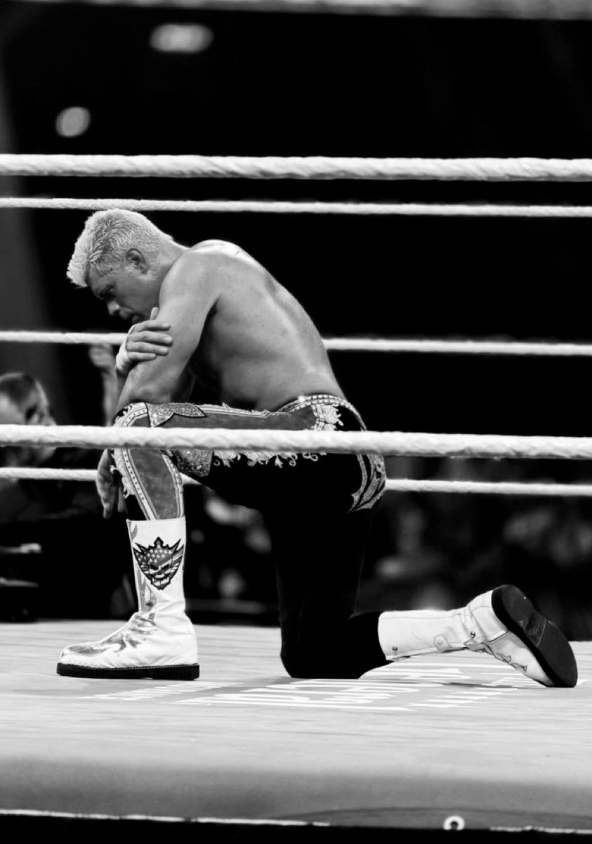 ๐๐๐๐๐๐๐ โจ (Parody) tweet media