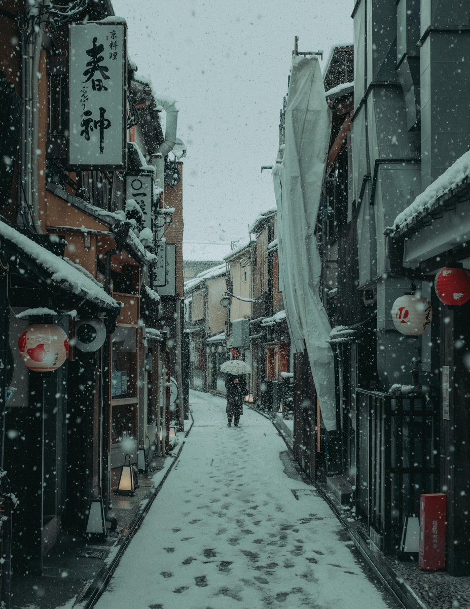 riki_shinagawa's tweet image. Alone in snowy Kyoto