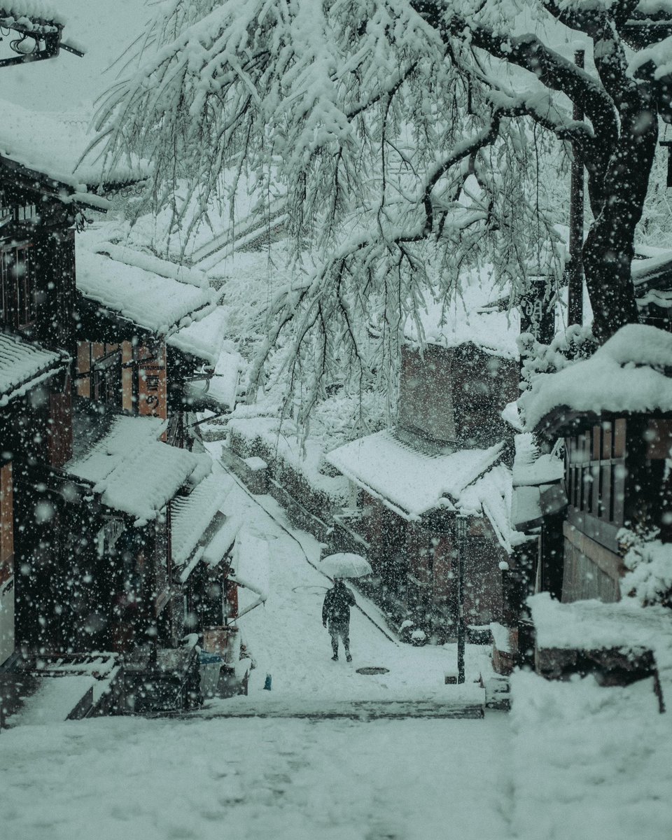 riki_shinagawa's tweet image. Alone in snowy Kyoto