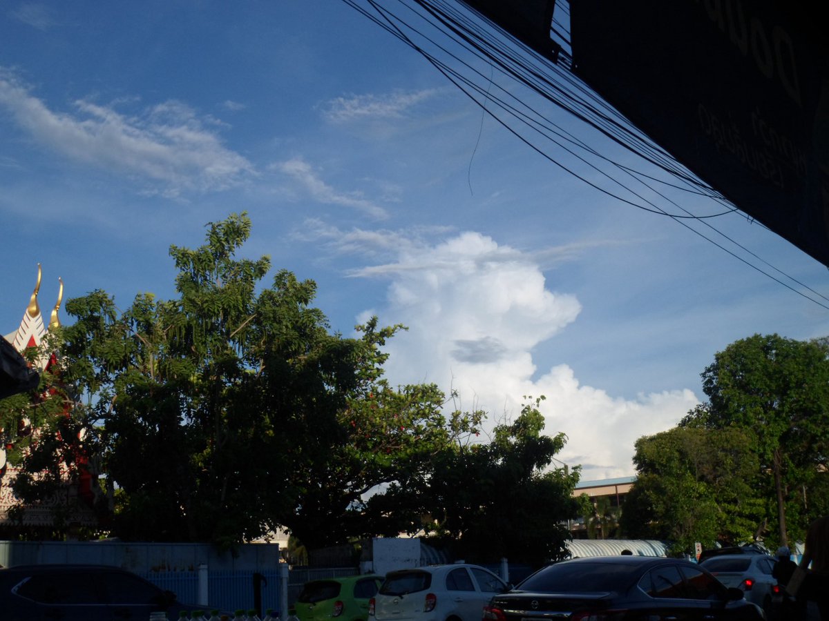 pyitit's tweet image. 