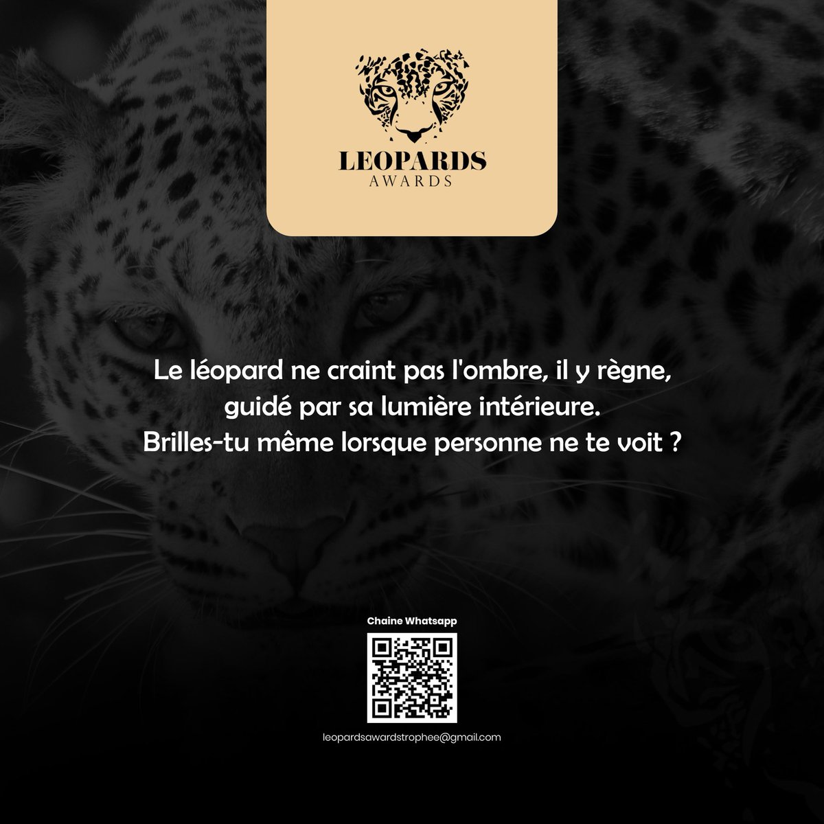 leopardsawards's tweet photo. Coming soon! Léopards awards Trophée https://t.co/DX7k3nUqHB