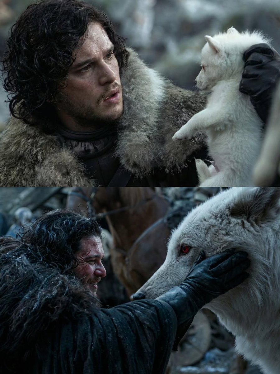 Jayysein's tweet image. The bond between Jon and Ghost from season 1 to season 8.