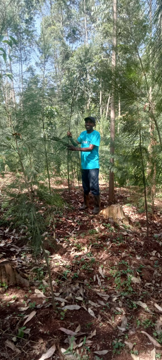 kim_kikwai's tweet photo. Sisi watu wa Shags Sundays are for hearing good inside our own Forests😃😃. https://t.co/VL8VNkGhB7