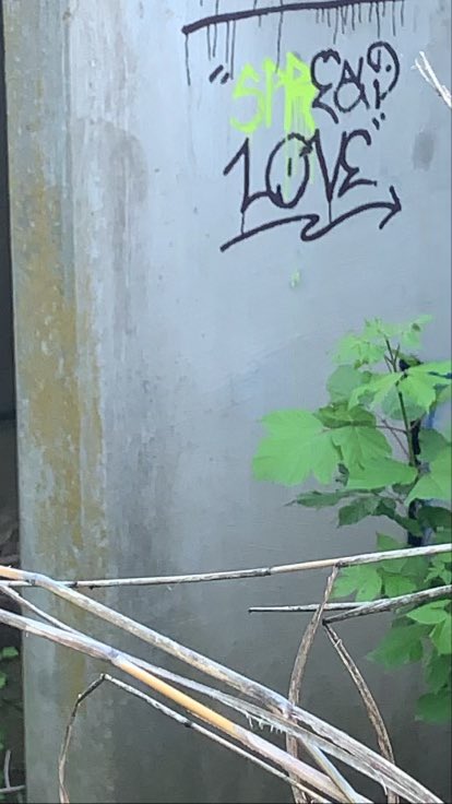 makesmenumb's tweet image. favorites from my camera roll pt2