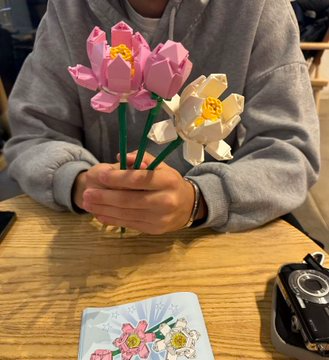 manitayla lego çiçek yapma işi..