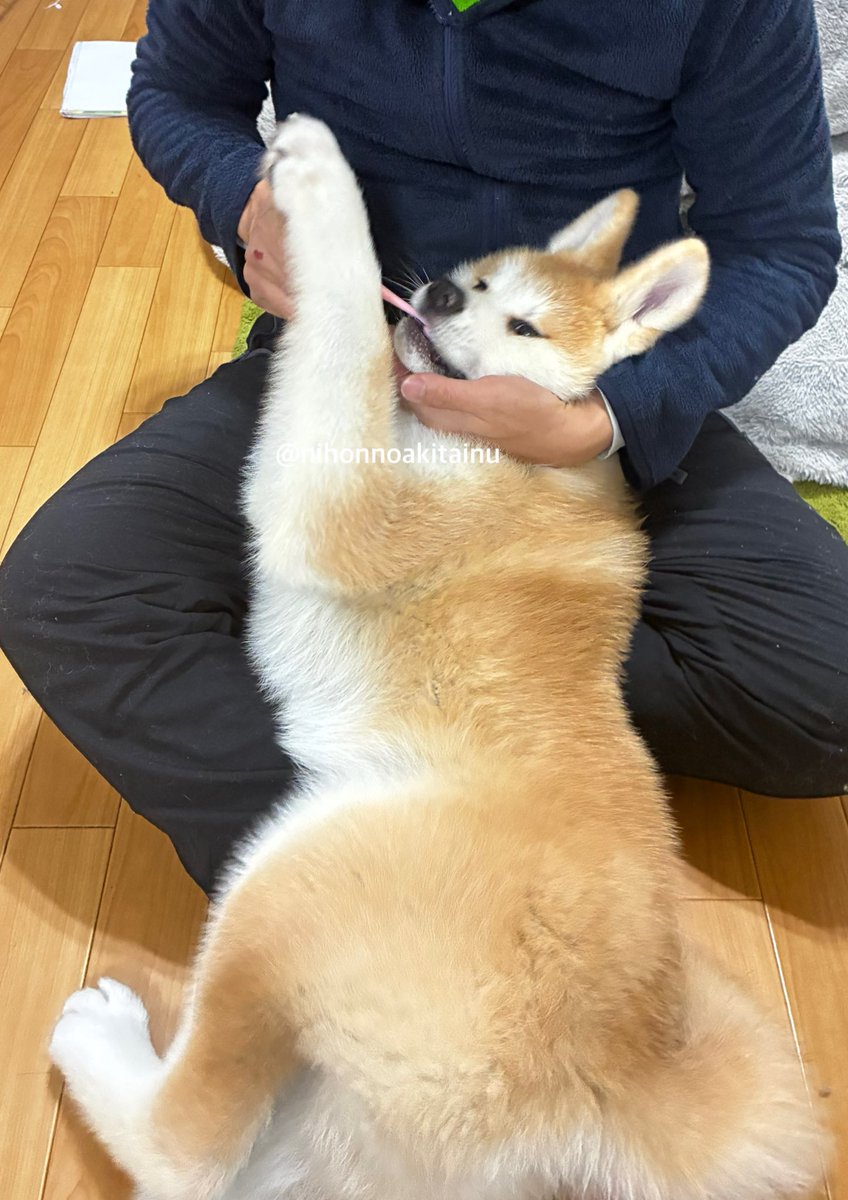 ْ (@65907_30_4) / Posts / X