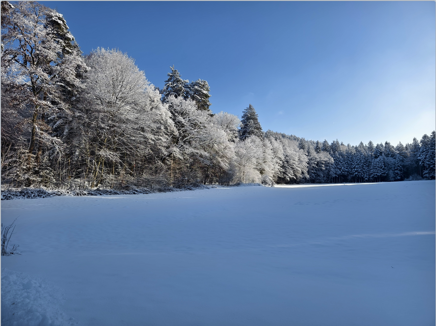 Alpinwetter's tweet photo. Herzlichsten Dank an Maier Kerstin für die tollen Winterfotos nach dem Schneefall aus Oberösterreich aus dem Innviertel!
Morgen schneit es mit einer Warmfront erneut und auch gefrierender Regen ist dann nöglich.
https://t.co/jclUPtuBcE
#Warmfront
/CG https://t.co/emiMU9fG8j
