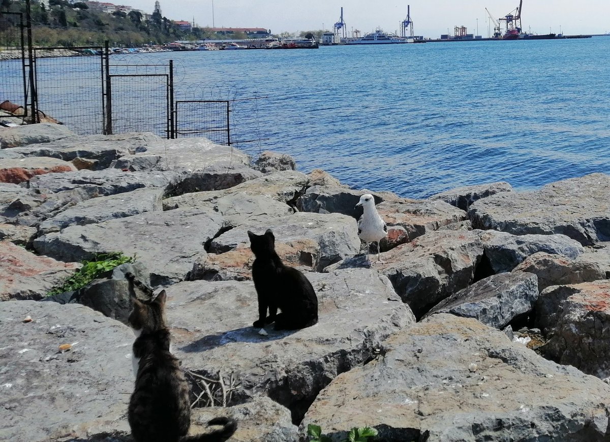 bana hüzün ver beni kucakla beni hep tazele

Turgut Uyar