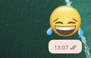 senden nefret ediyorum