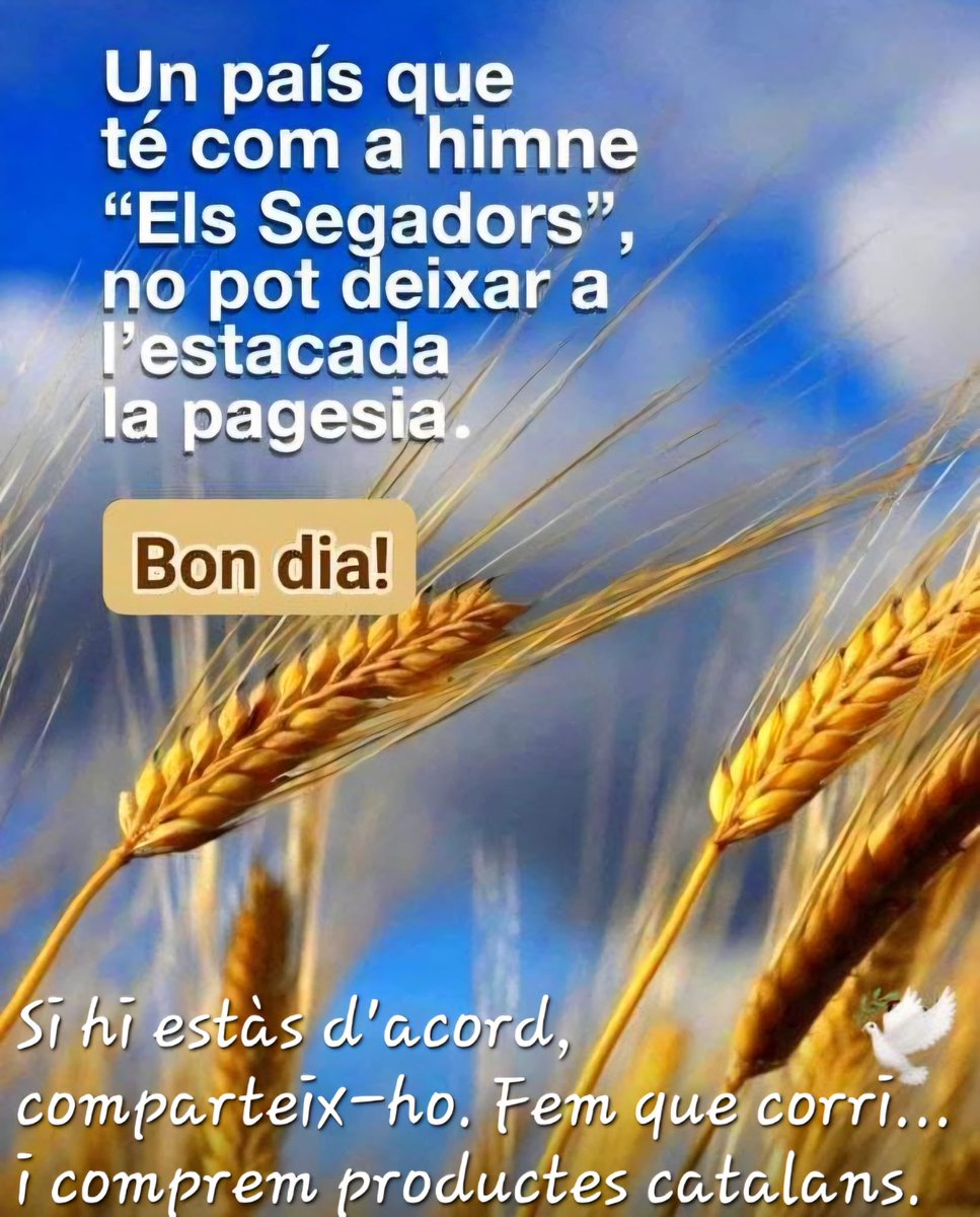 Pesacapsada's tweet image. #RevoltaPagesa la nostra fi la vostra fam