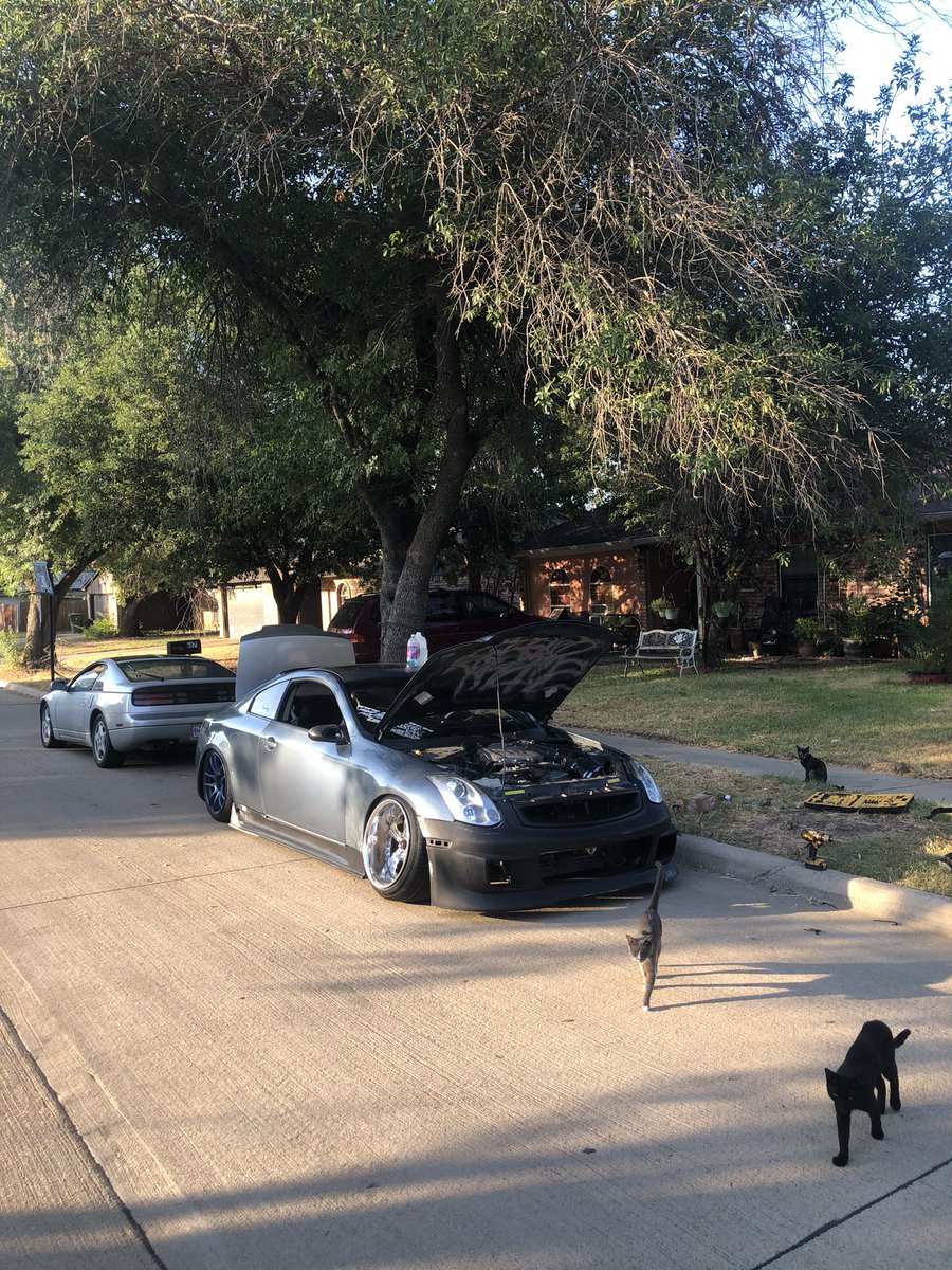 makesmenumb's tweet image. favorites from my camera roll pt4