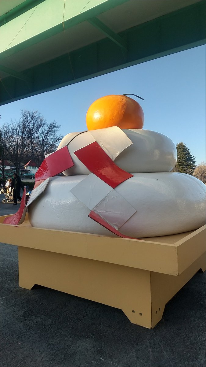 yuRay17's tweet image. 先日かがみもち～ずさんの親分さん（？）に遭遇しました