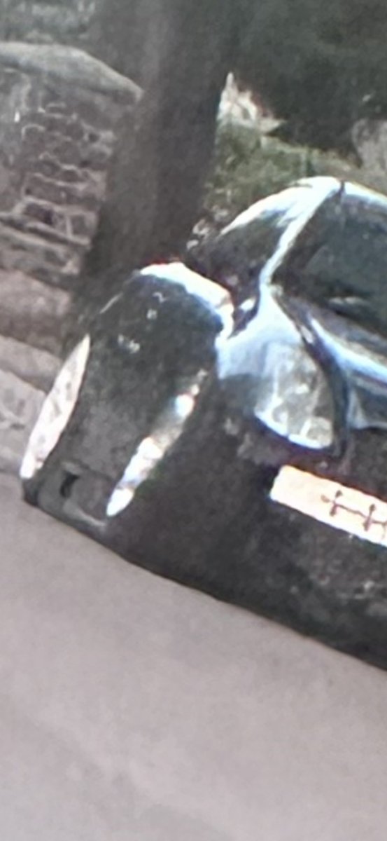 makesmenumb's tweet image. favorites from my camera roll pt9