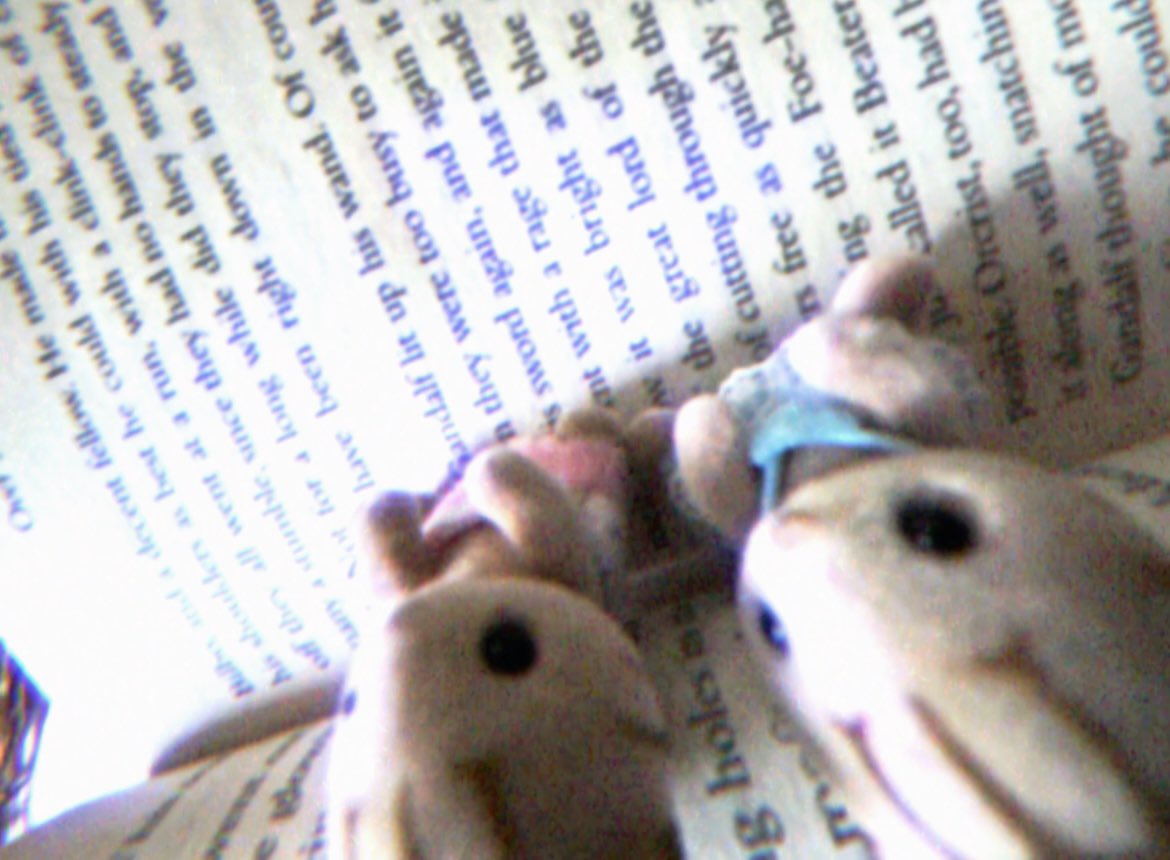 eed0oni's tweet image. #dounisol