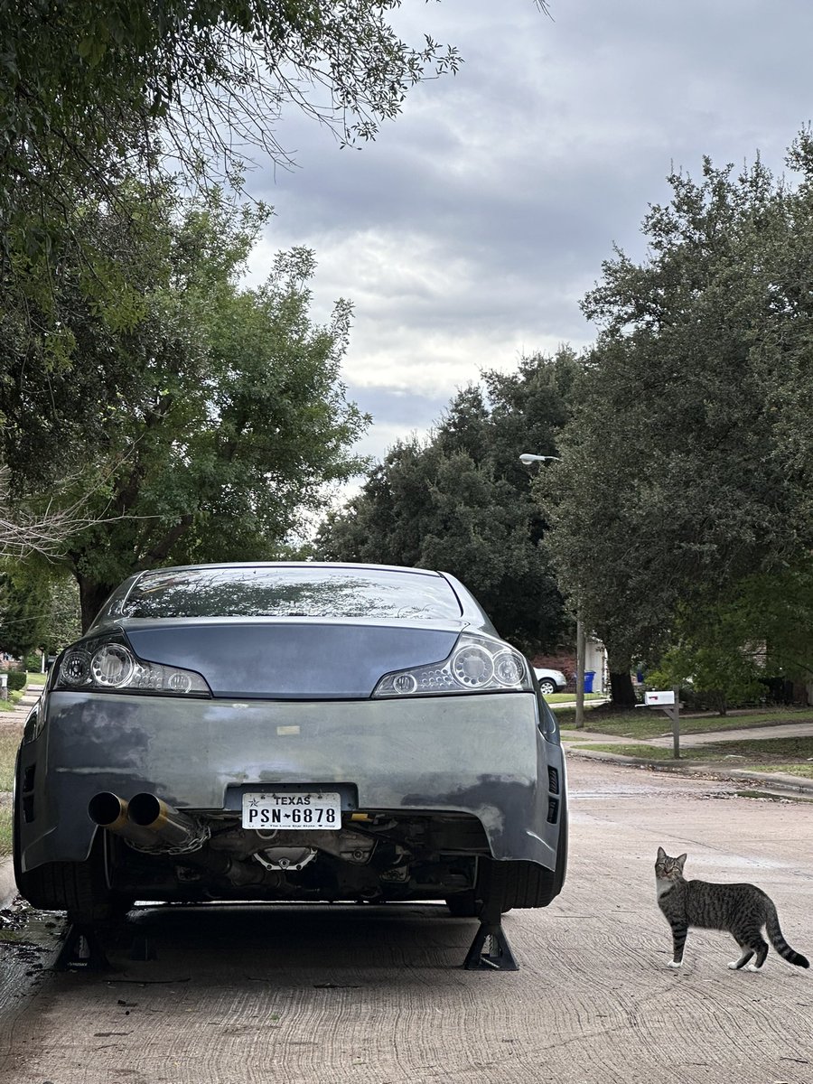 makesmenumb's tweet image. favorites from my camera roll pt13