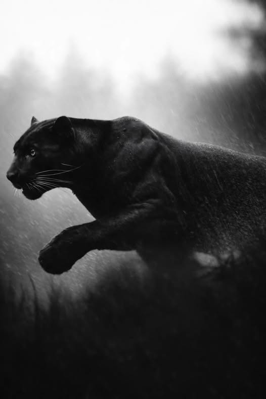 Every comeback begins in the darkest moments.