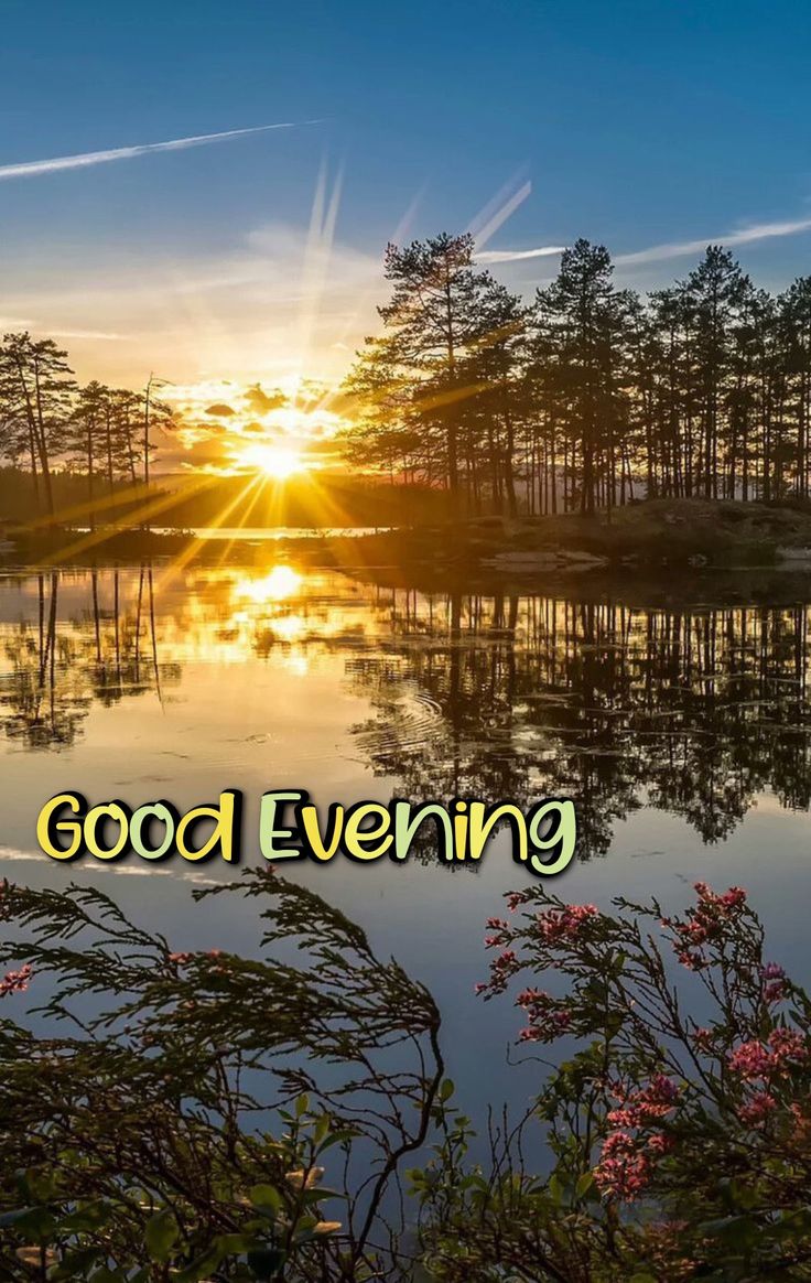 तू गिरा तो क्या हुआ, उठना भी सीख ले,
तकलीफ़ को दबाकर मुस्कुराना भी सीख ले,
सपनों का बोझ हल्का नहीं होता दोस्त,
उन्हें सच करना है तो जलना भी सीख ले।
🥰Good evening X nation 🥰