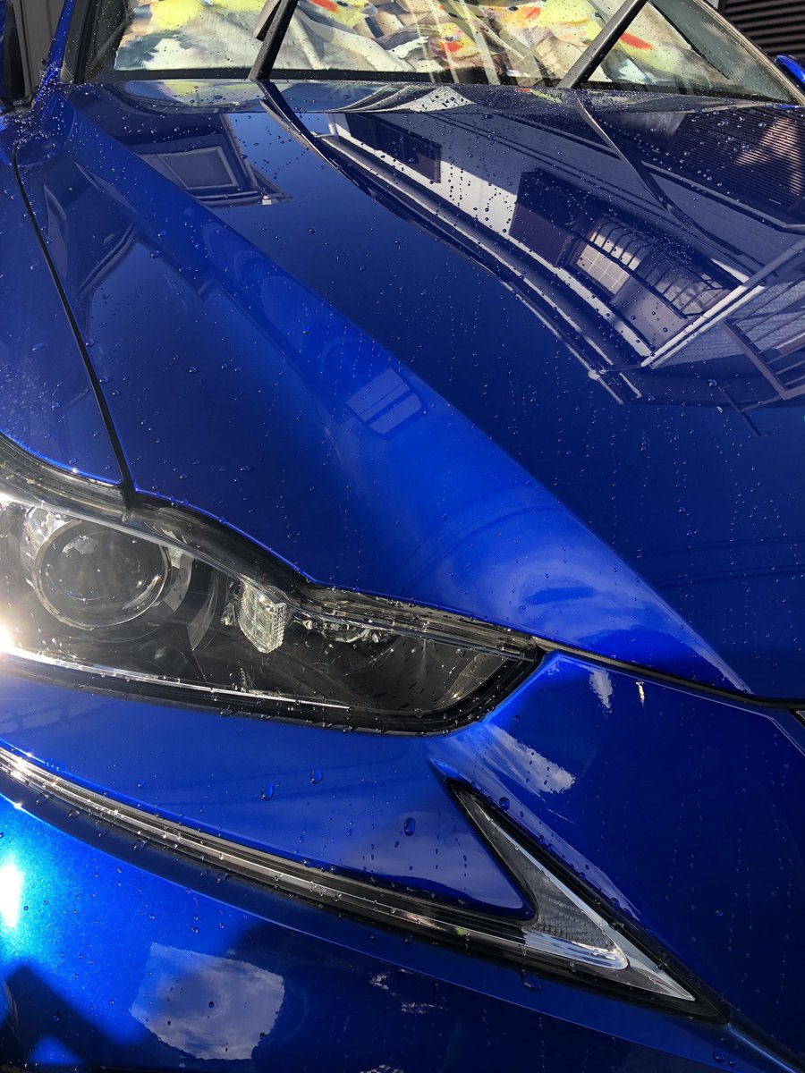 青白ライオネル レジャークーラー ネオセラー 30L | キャンプ・バーべーキュー用品