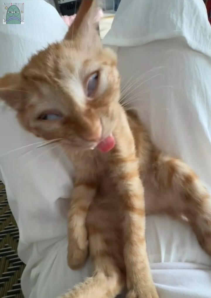 Tanyarlfes tweet media