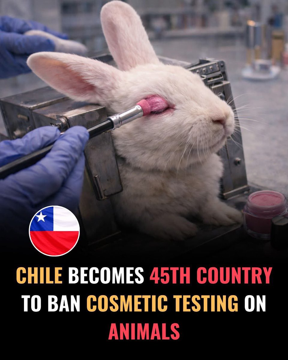 domdyer70's tweet image. Well done Chile