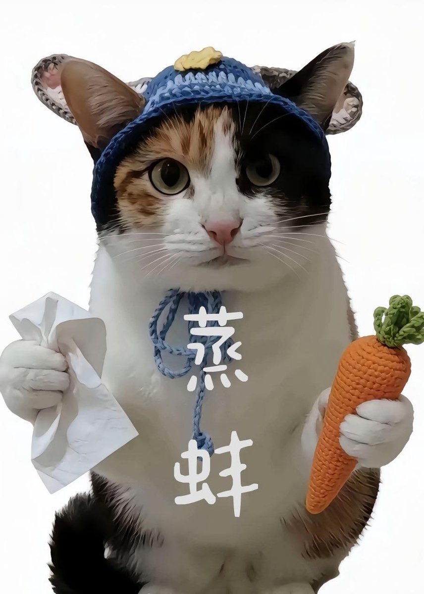 meme有那么多的猫猫狗狗，是时候来一个纯正的中文猫了#大开门0x0be4c23bddbf43ec14ebbd27d6ac7c62379f4444